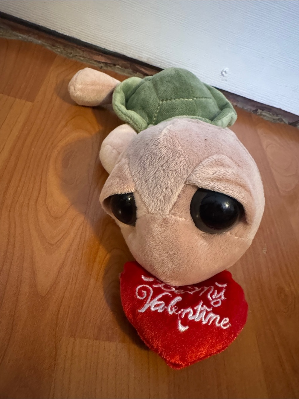 Plush Turtle in Green, Beige and Red Heart
